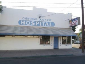 California Dog & Cat Hospital