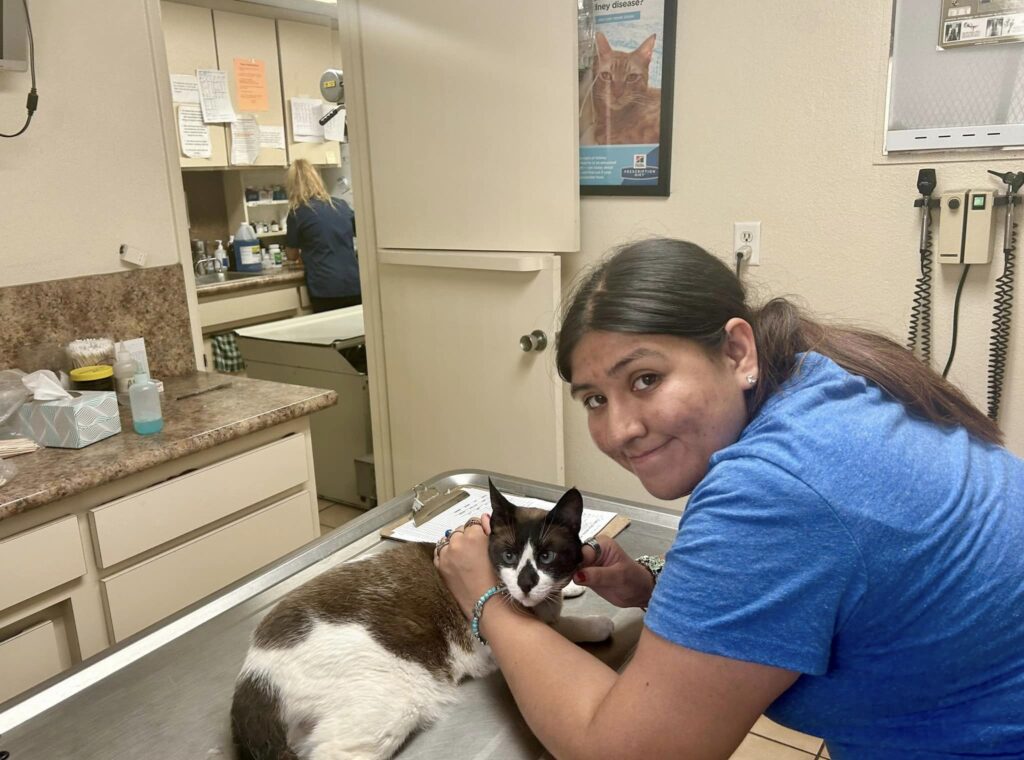 Loma Linda Animal Hospital