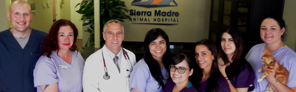 Sierra Madre Animal Hospital