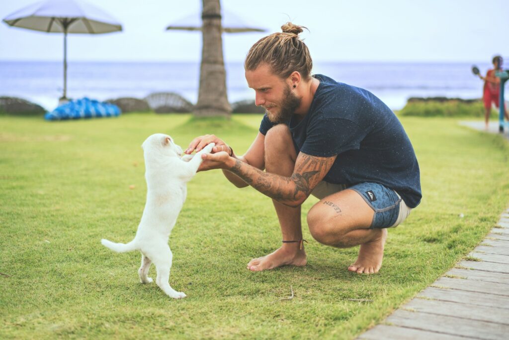 Hombre jugando con un cachorro blanco con una playa de fondo