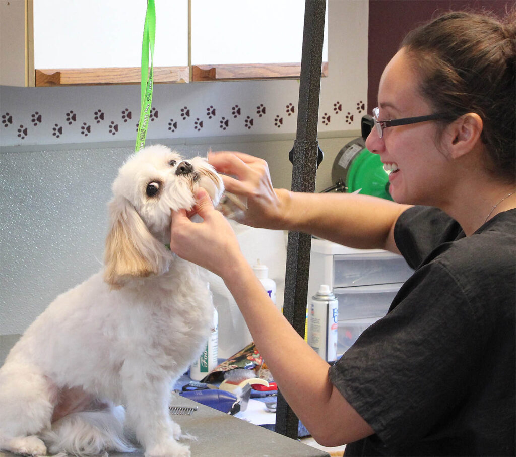 Tender Care Animal Hospital of Peoria