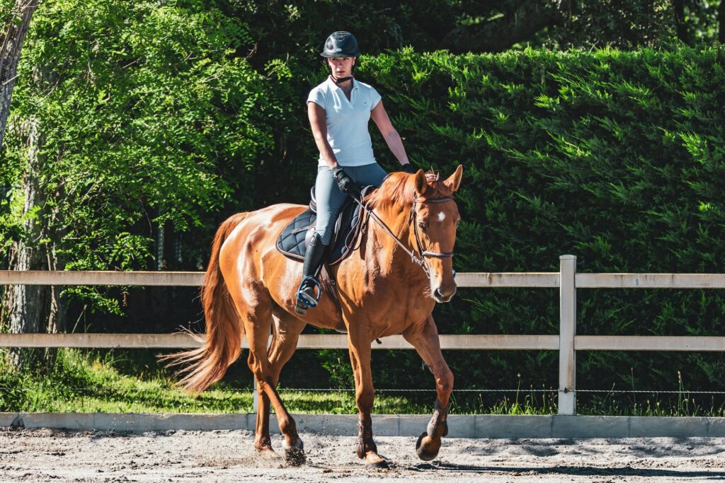 Jinete encima de un caballo